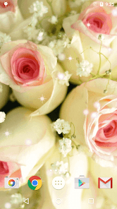 Imágen 2 Rosas Blancas Fondo Pantalla android