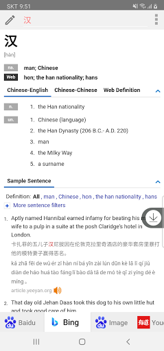 All Chinese Dictionaries Screen 3