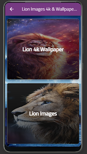Lion Images 4k & Wallpaper HD
