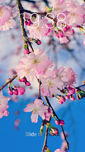 Android application Spring Flowers Lock Screen screenshort