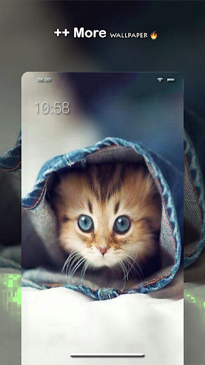 Cat Wallpaper – HD Wallpaper