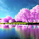 Nature Wallpaper HD Laai af op Windows