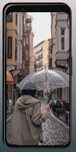 Local Weather Rain Forecast