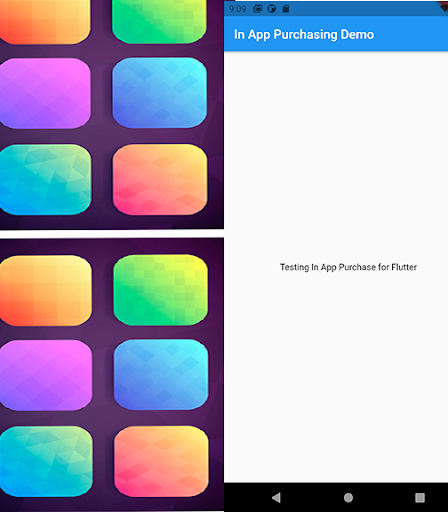 In App Purchase Test