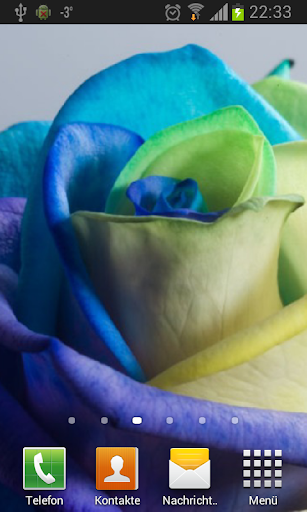 Happy Roses Live Wallpaper Screen 3