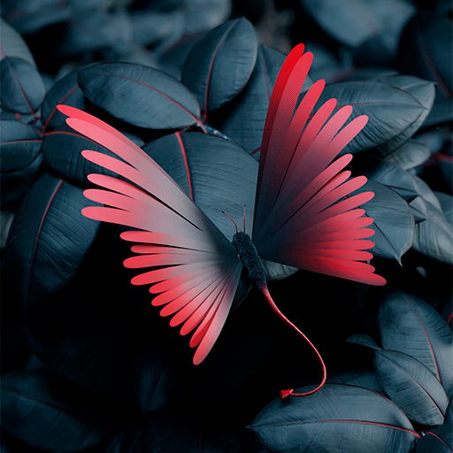 Butterfly Wallpapers logo