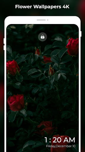 Flower Wallpapers 4K FULL HD