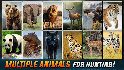Animal Shooting Wild Hunting Screen 3