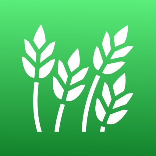 WheatBag logo