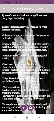 Types of roses Screen 3