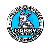 GABBY VPN 3in1 icon