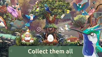Game screenshot Bird Kind mod apk