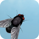 Fly on the screen - a game for the cat Apk