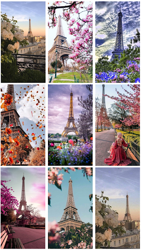 Android application Paris Wallpaper - Eiffel Tower screenshort