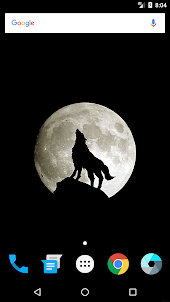 Lone Wolf Wallpapers 4K