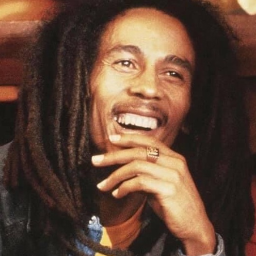 Mp3 Love Songs Reggae Music logo