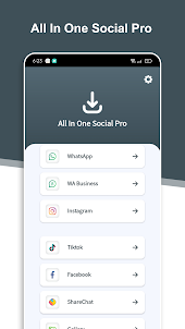 All In One Social Pro