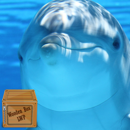 dolphin fish wallpaper logo