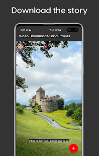 Video Downloader and Stories Screenshot