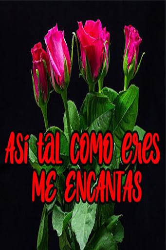 Download Rosas Y Flores Con Mensajes De Amor Free for Android - Rosas Y  Flores Con Mensajes De Amor APK Download 