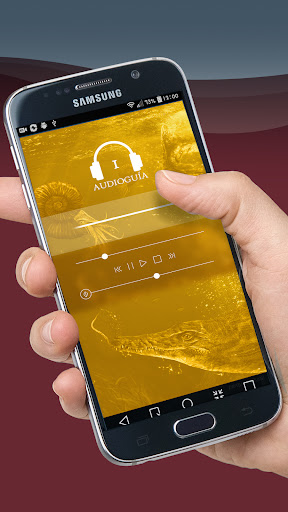 Audio guide Galve Museum