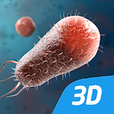 Bacteria interactive educational VR 3D icon