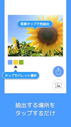 Picolor - 色を抽出できる写真加工アプリのおすすめ画像4