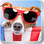 Cover Image of Download Wallpapers Animals Series 1  APK