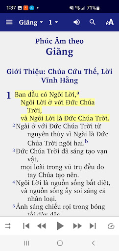 Vietnamese Contemporary Bible Screen 2