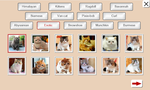 Guess the Cat: Tile Puzzle Screen 2