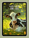 screenshot of Cute Cow Wallpaper 4K