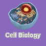 Learning Cell Biology