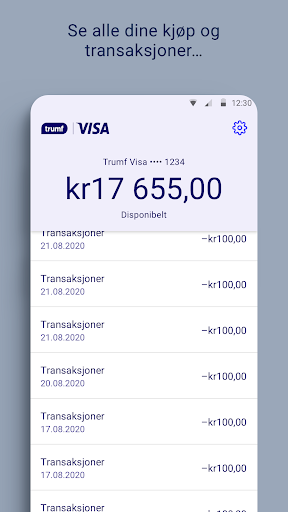 Trumf Visa Screen 2