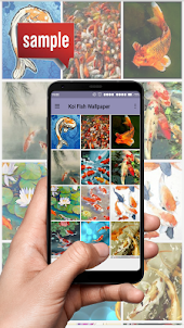 KoiFish Wallpapers