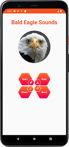 Bald Eagle Sounds Screen 2
