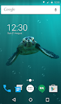 screenshot of Cute Turtle Wallpaper Theme