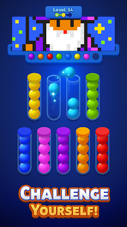 Game screenshot Sort N Color Puzzle Game apk download