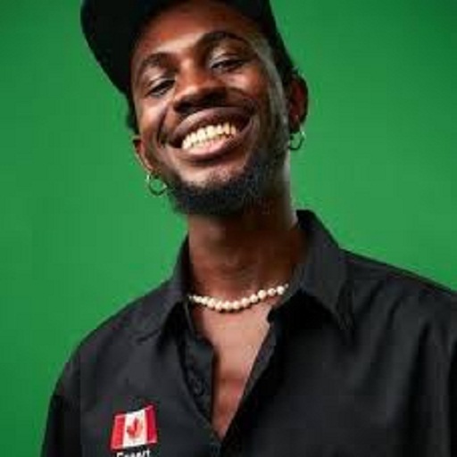 les chansons de black sherif Tải xuống trên Windows