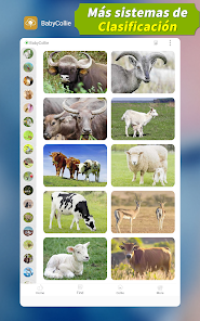 Captura de Pantalla 17 Animal Mágico: ¡180 Sonidos de android