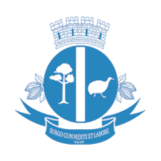 Buerarema Iluminação Pública logo
