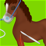 Horse Surgery Game icon