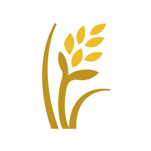 Rize logo
