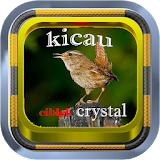 Kicau Ciblek crystal offline icon