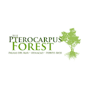 Top 10 Education Apps Like Pterocarpus Forest - Best Alternatives