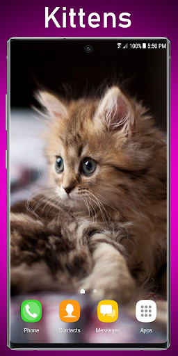 Kittens Live Wallpaper Screen 3
