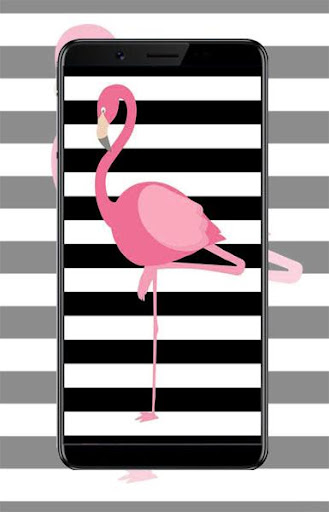 Flamingo Pink Wallpaper Screen 2