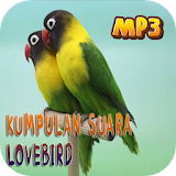 Masteran Suara Burung Lovebird icon