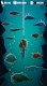 screenshot of Monster Fish : Go Fishing