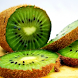 Kiwi The Fruit Live Wallpaper. - Androidアプリ