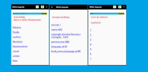 Bíblia Sagrada várias versões Screen 3